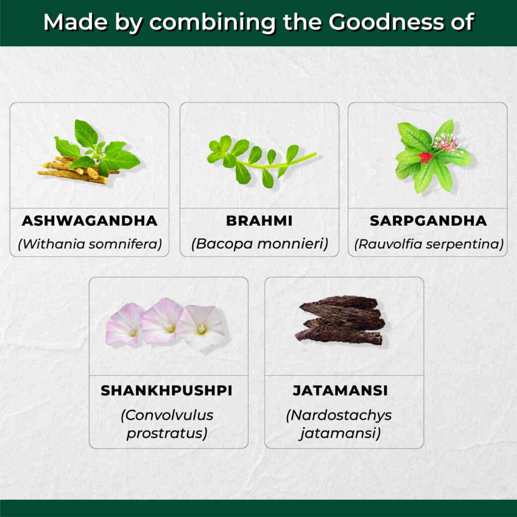 AyuStress Tablets Key Ingredients