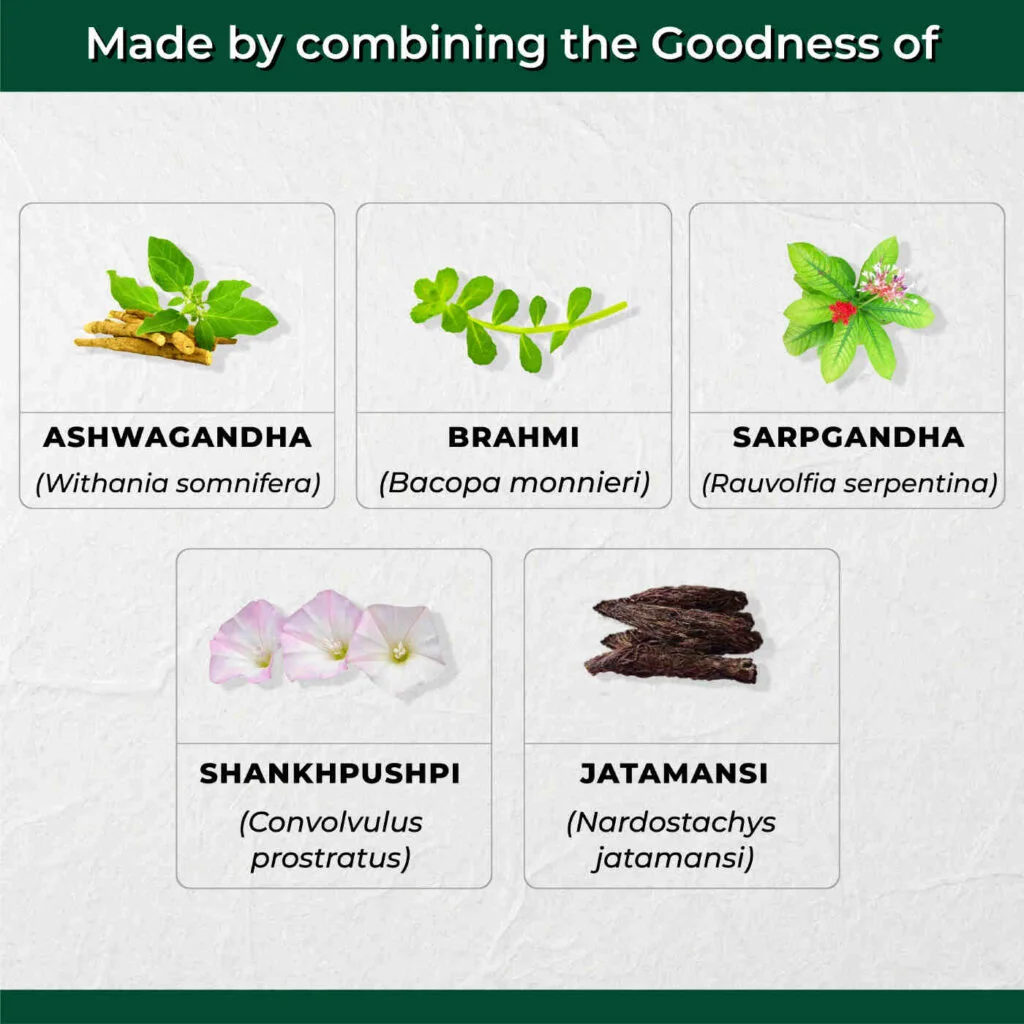 AyuStress Tablets Key Ingredients