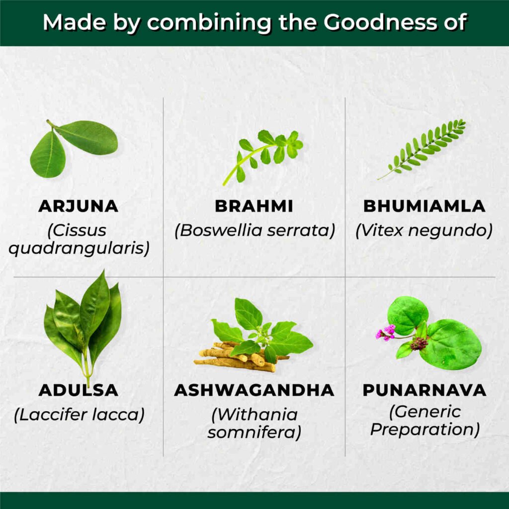 AyuVital Tablets Key Ingredients