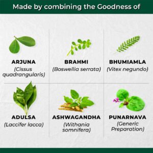 AyuVital Tablets Key Ingredients