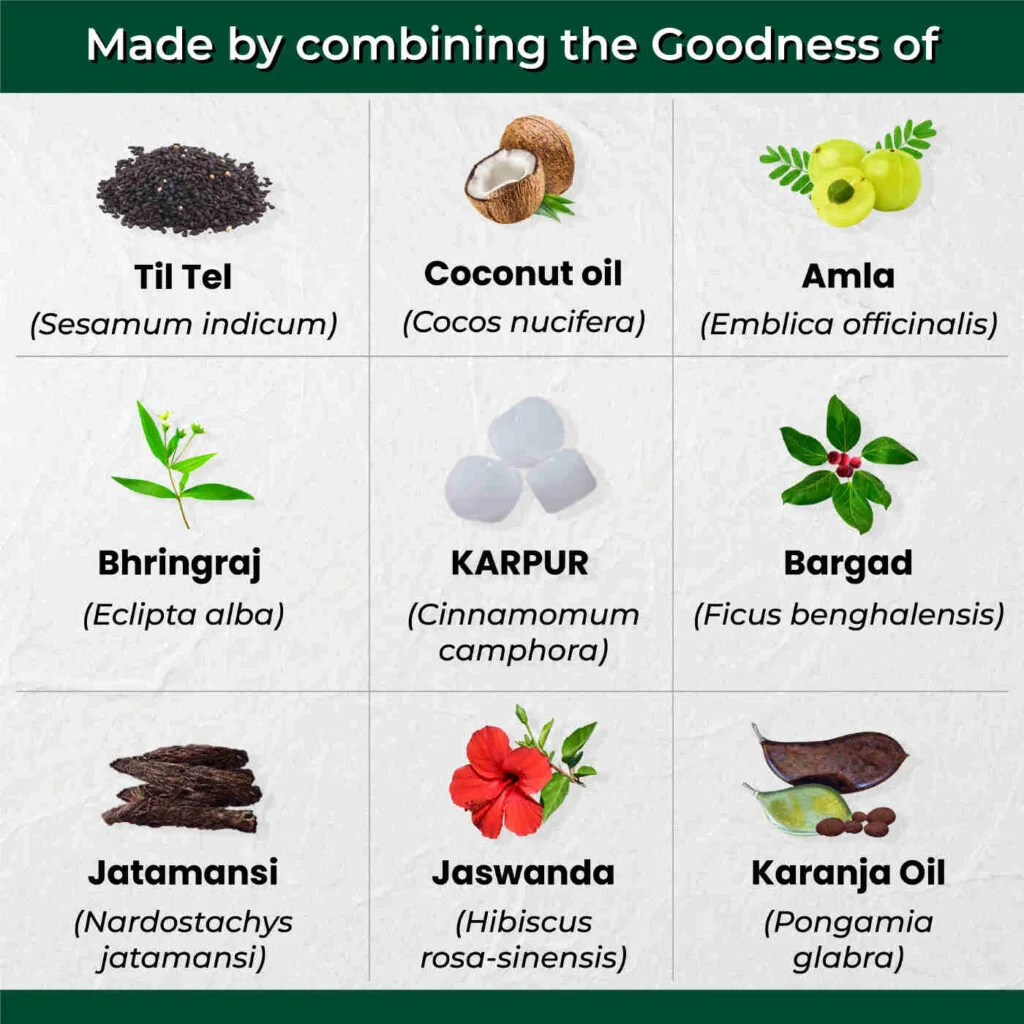 Ayurvedic Hair Oil 2