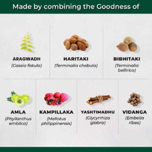 AyuMotion Tablets Key Ingredients